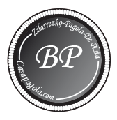 plata-logo